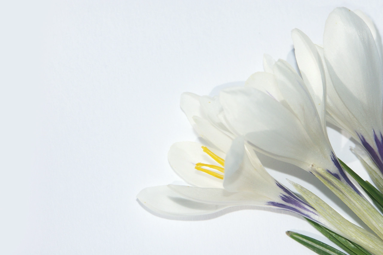 des Alpes au cœur de la nature